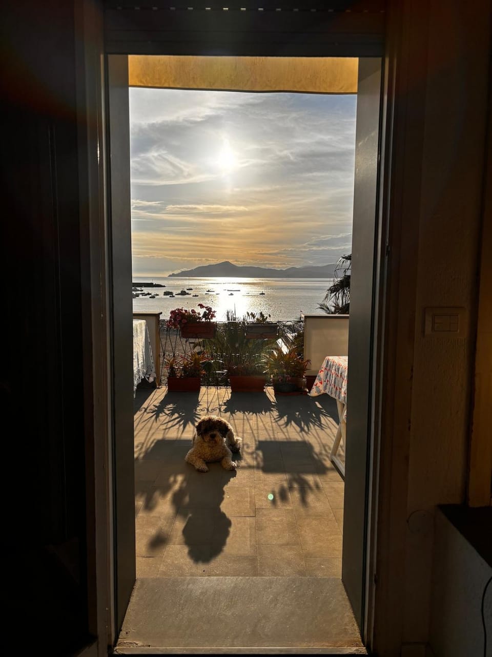 Appartamento frontemare con terrazzo Apartment in Sestri Levante