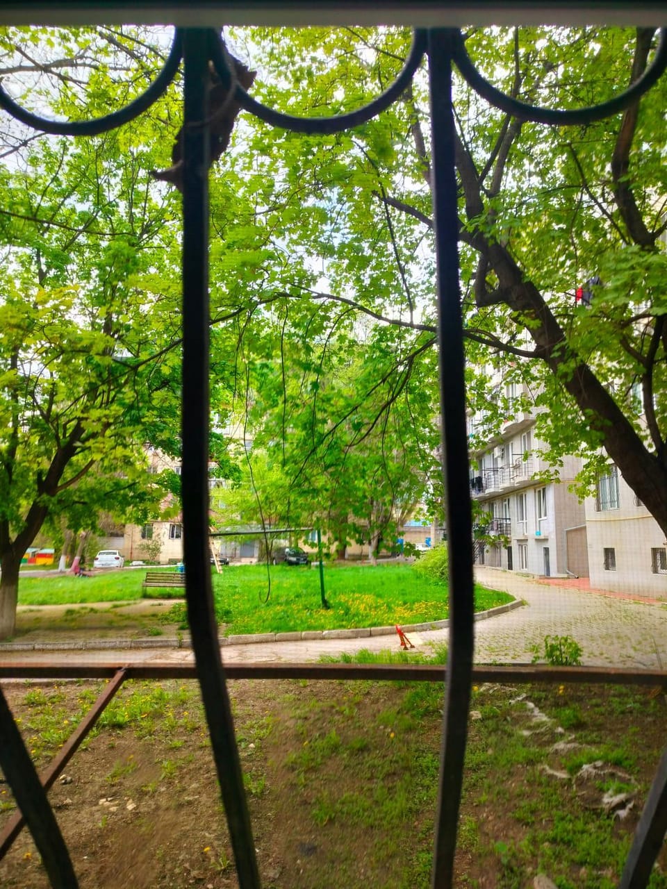 Cozy apartment in the park zone Apartment in Chișinău