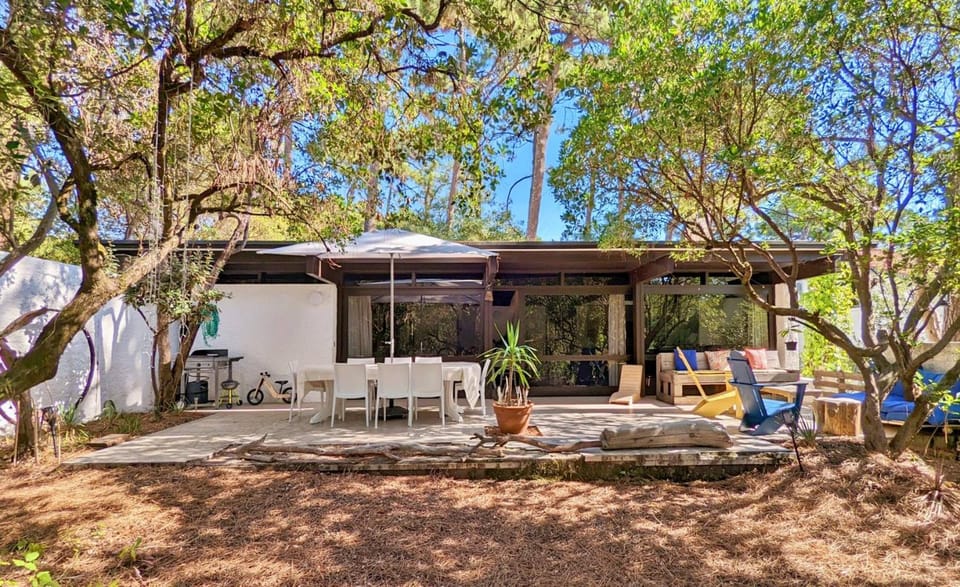 Patio, Garden, Garden view