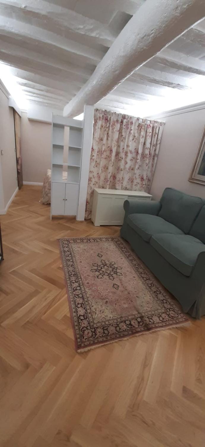 Magnifica home Apartment in Florence