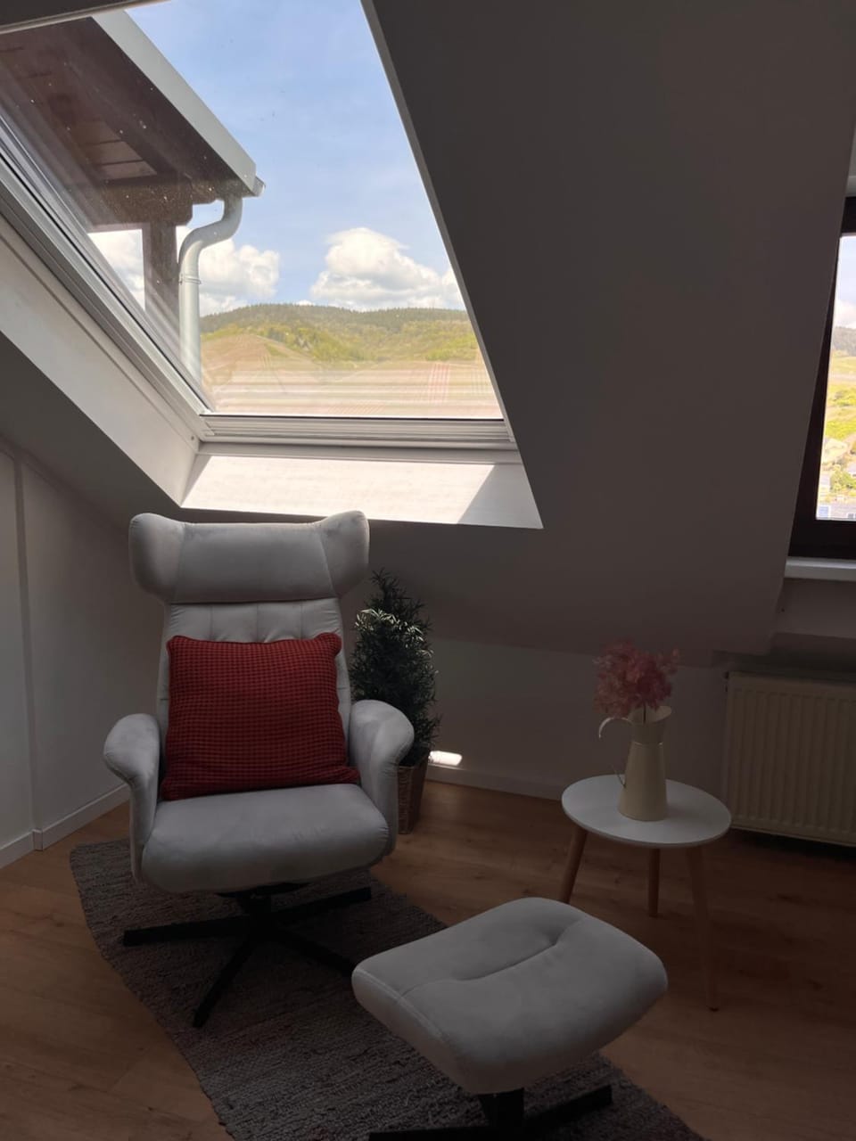 Photo of the whole room