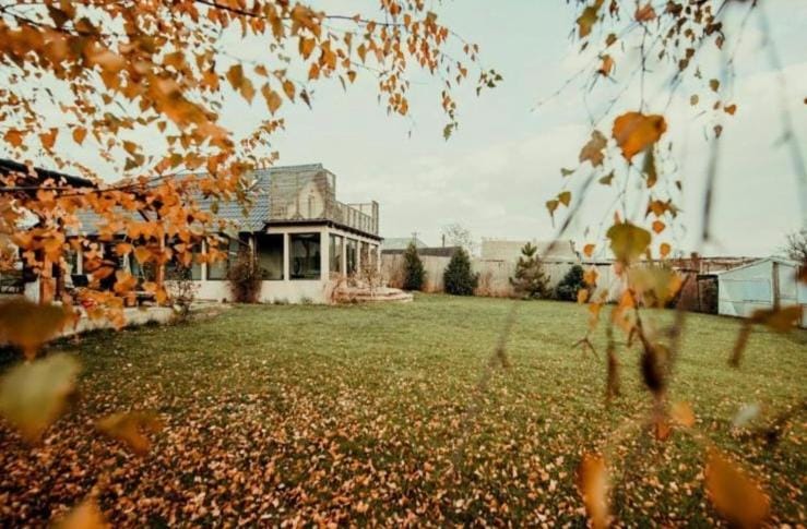 Day, Natural landscape, Garden, Garden view