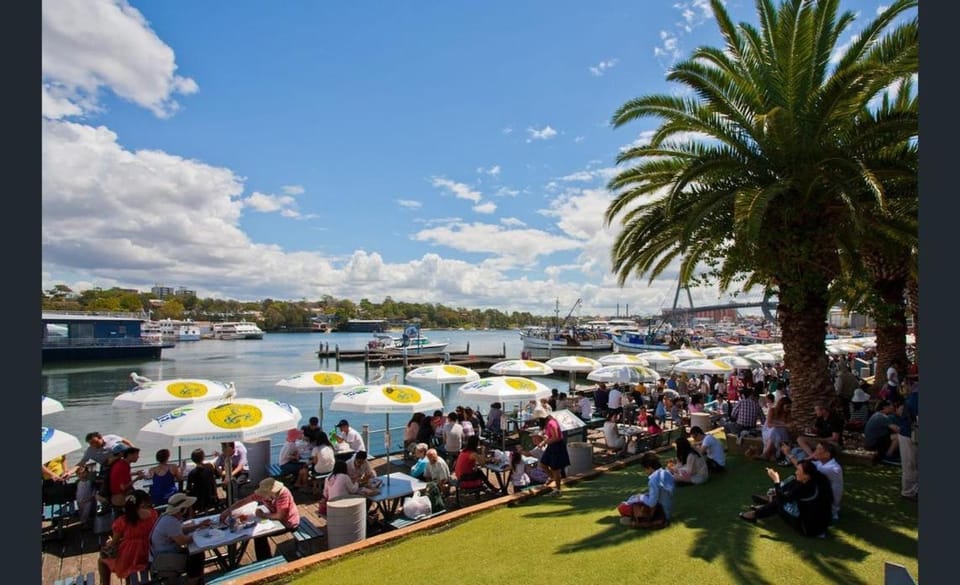 Modern 4BR House Walk to ICC & Darling Harbour & Fish Market & CBD House in Sydney