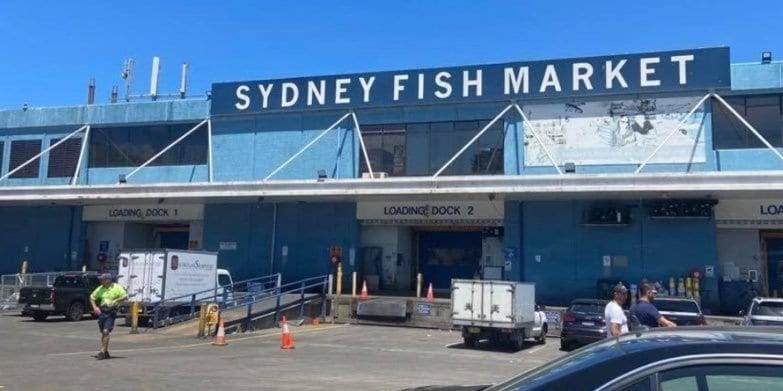 Modern 4BR House Walk to ICC & Darling Harbour & Fish Market & CBD House in Sydney