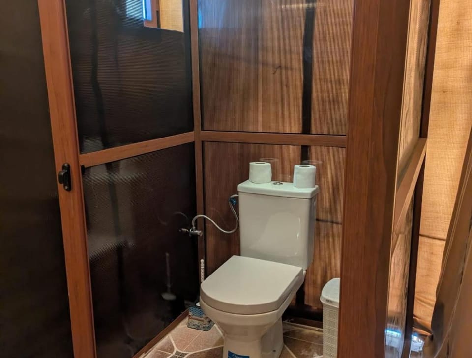 Shower, Toilet