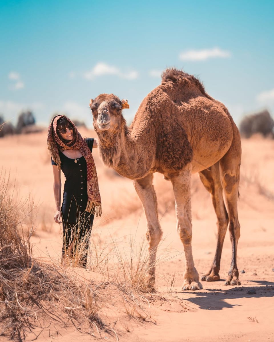 Grand Dunes Luxury Camp Bed and Breakfast in Morocco