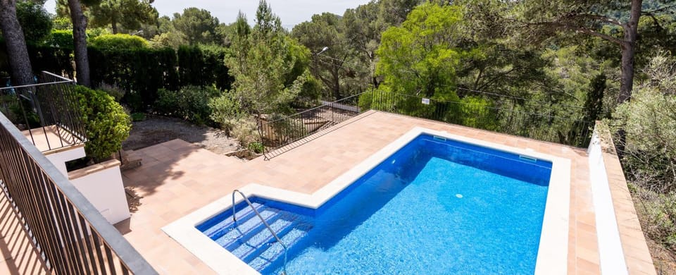 Garden, Pool view, Swimming pool