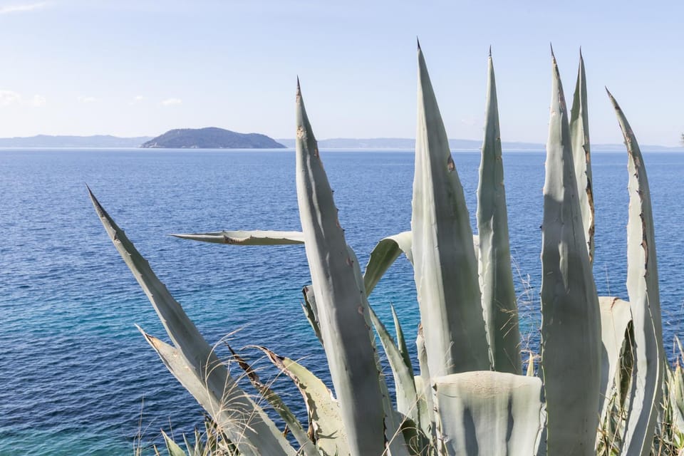 Natural landscape, Beach, Sea view