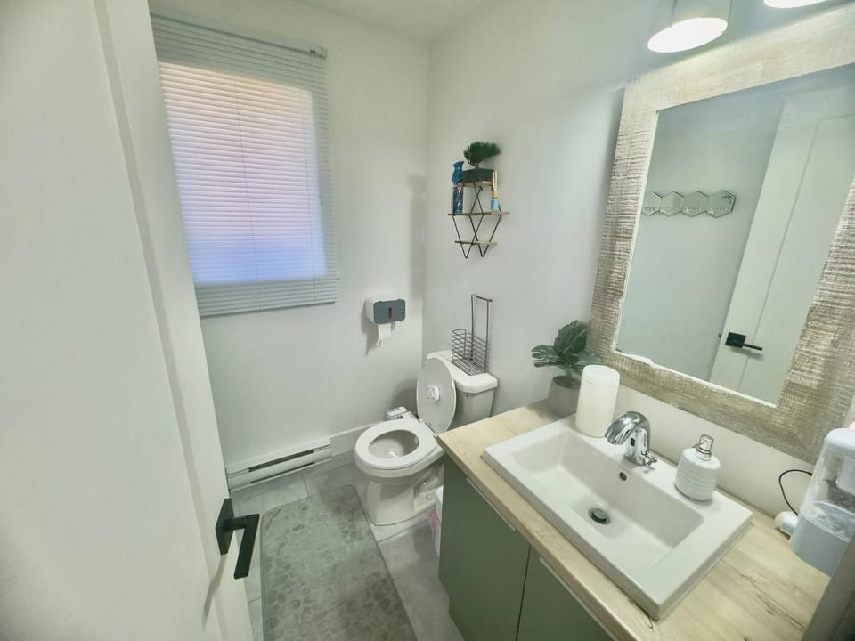Toilet, Bathroom