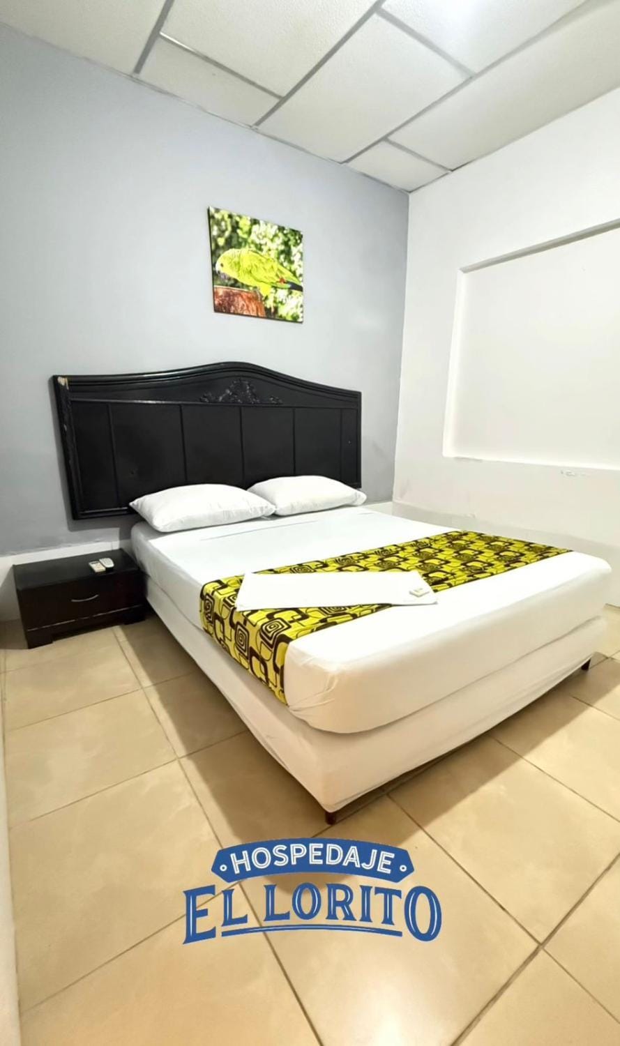 Hospedaje El Lorito Bed and Breakfast in Barranquilla