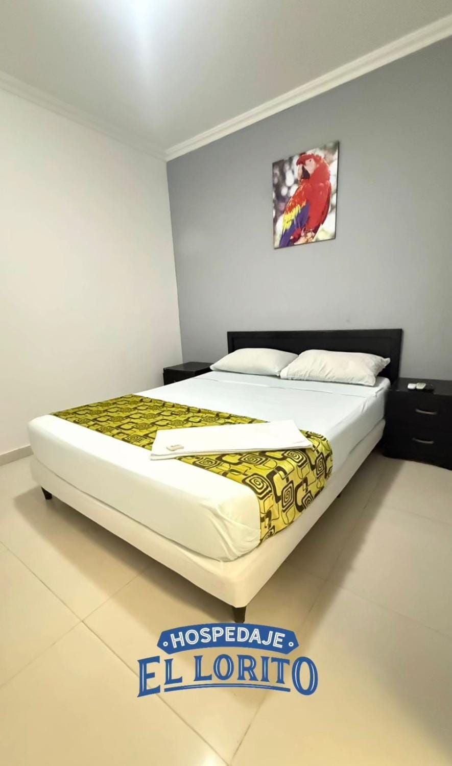 Hospedaje El Lorito Bed and Breakfast in Barranquilla