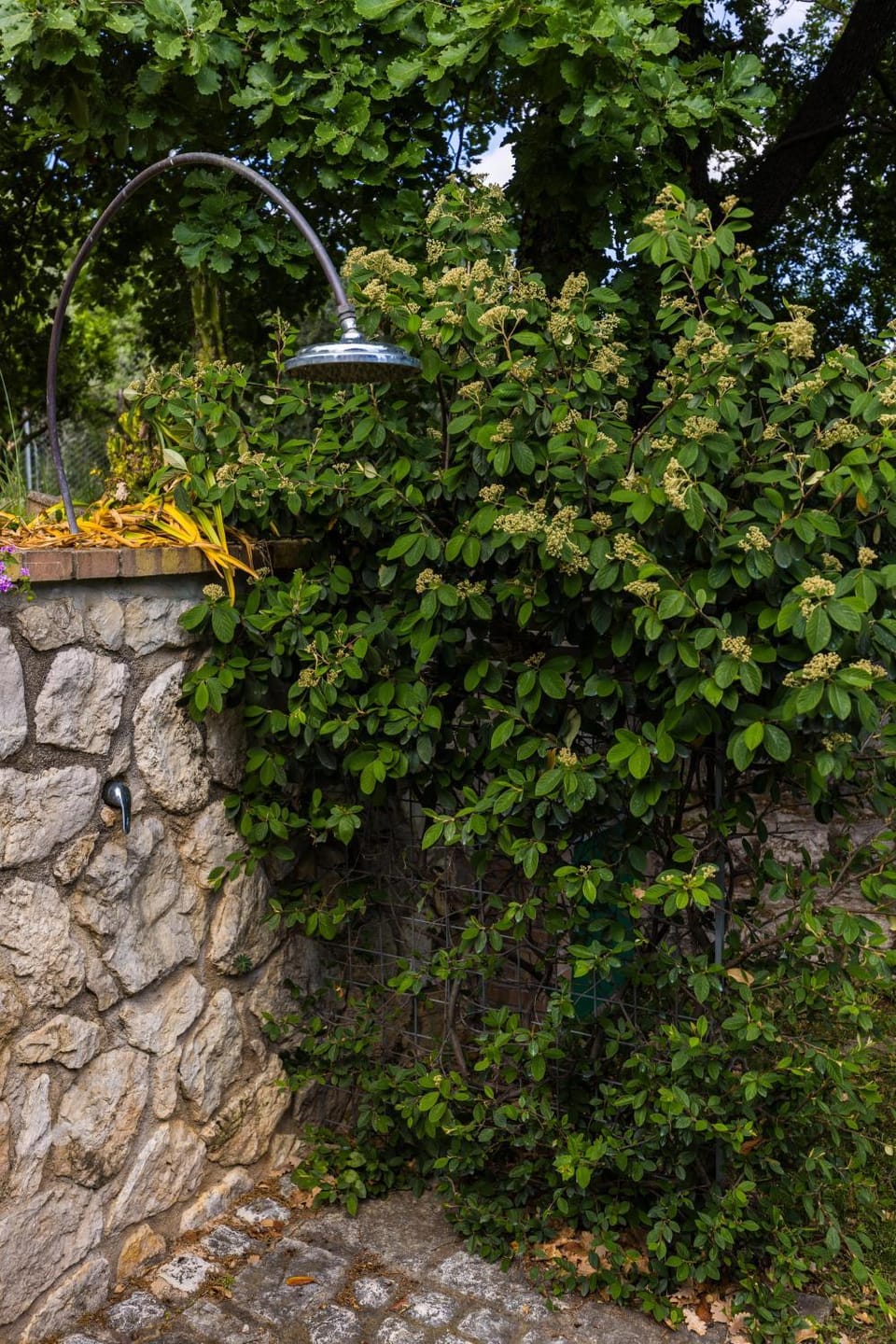 Villa Privata con Giardino e Piscina Villa in Lazio