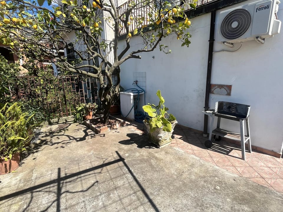 Garden, Garden