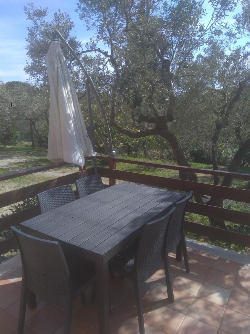 L'oleandra appartamenti Apartment in Lacona