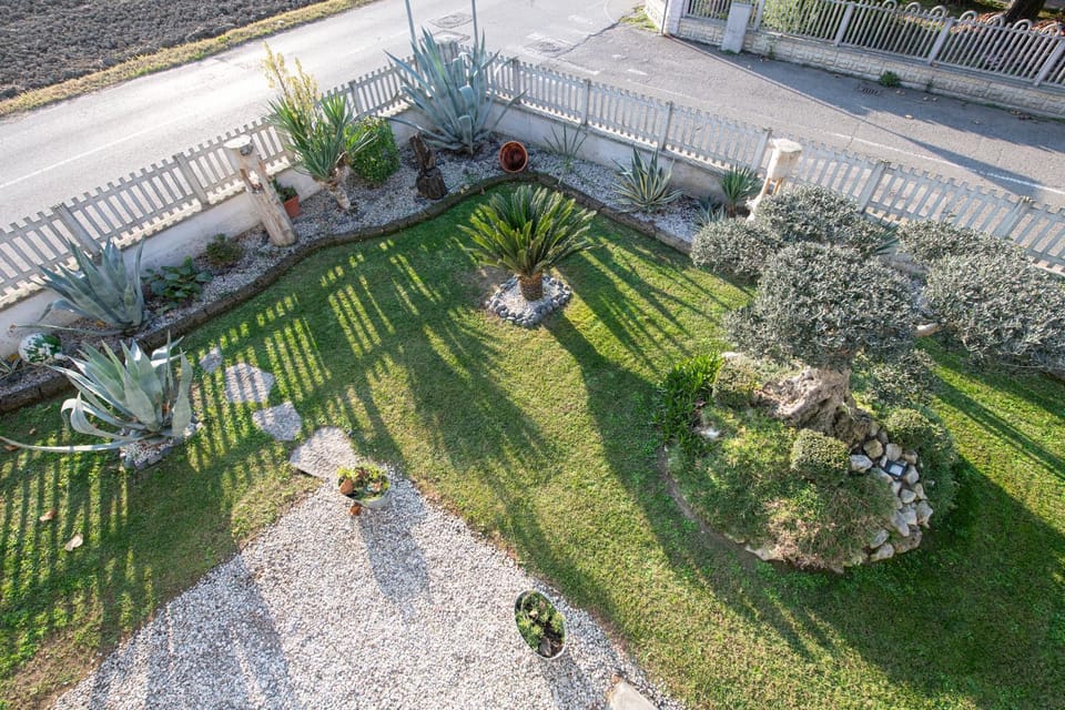 Garden view