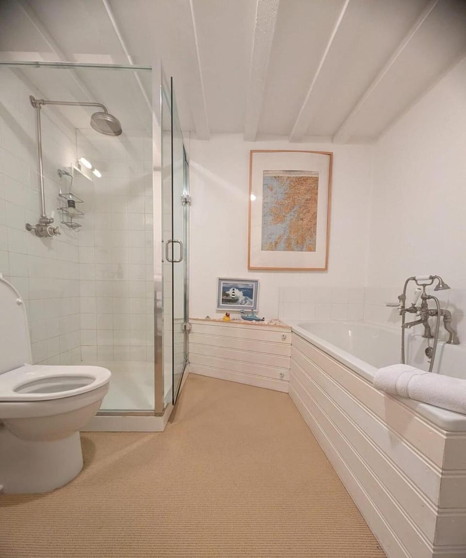Shower, Toilet, Bathroom, Bath
