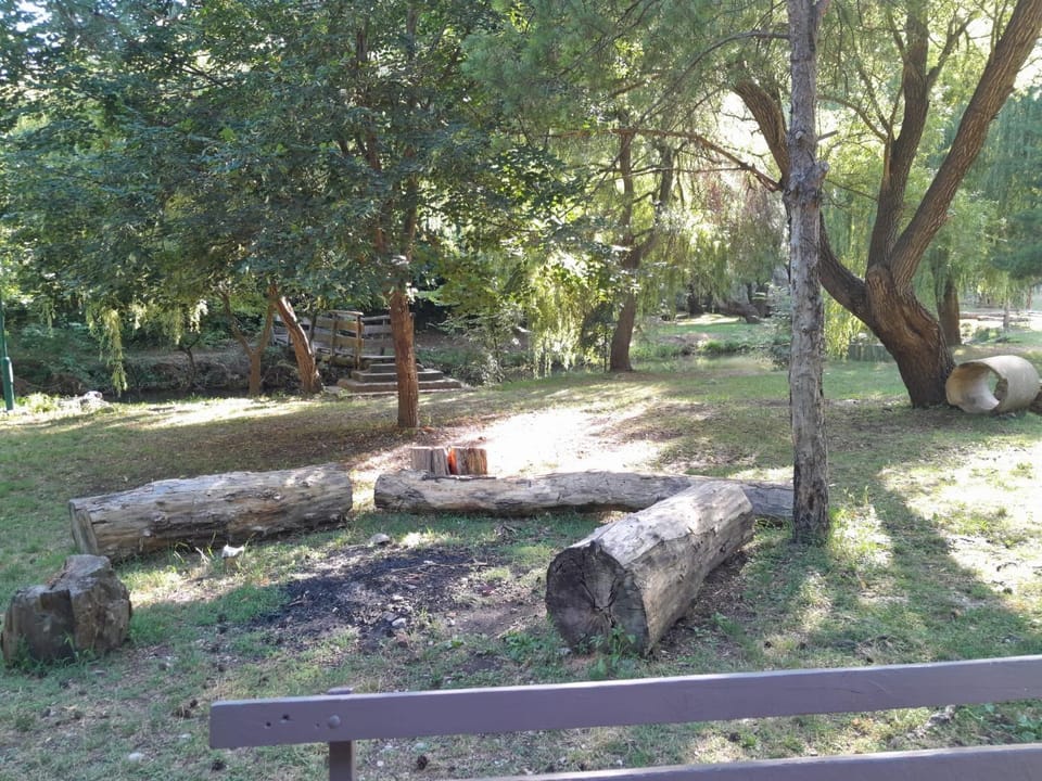 Garden, Garden view, fireplace