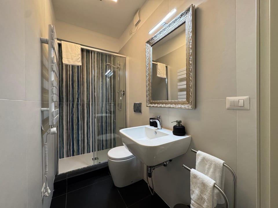 Shower, Toilet, Bathroom, towels