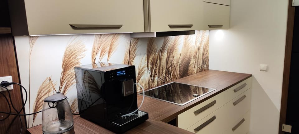 Coffee/tea facilities, stove, kitchen