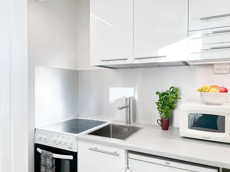 Viihtyisä yksiö Tampereen keskustassa Apartment in Finland