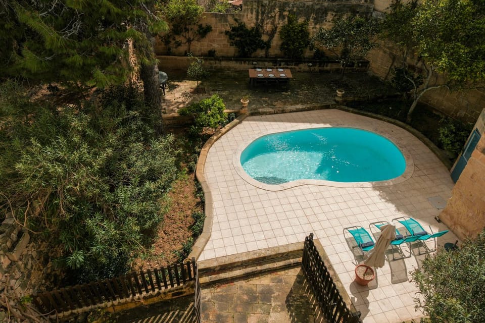 Spring, Day, Summer, Garden, Garden, Garden view, Pool view, Swimming pool, sunbed