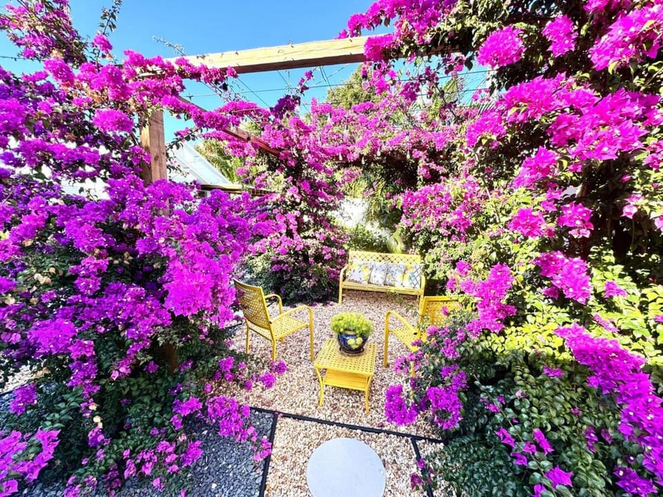 Garden, Balcony/Terrace