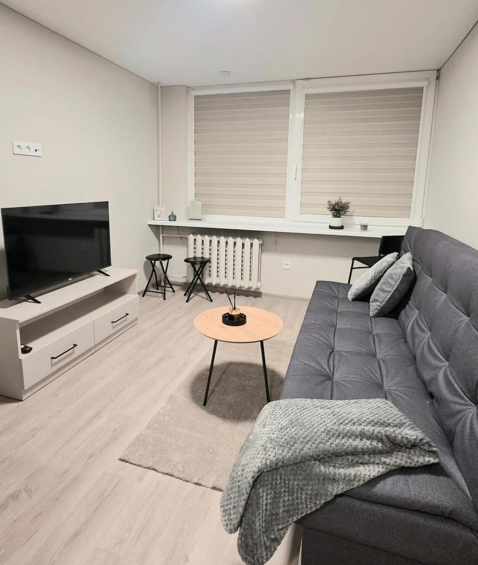 Algirdo Apartments 3 Apartment in Vilnius