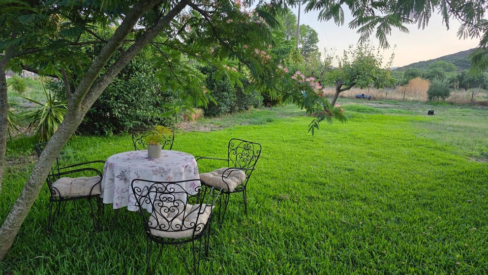 Anemos House Sykia Halkidiki House in Halkidiki