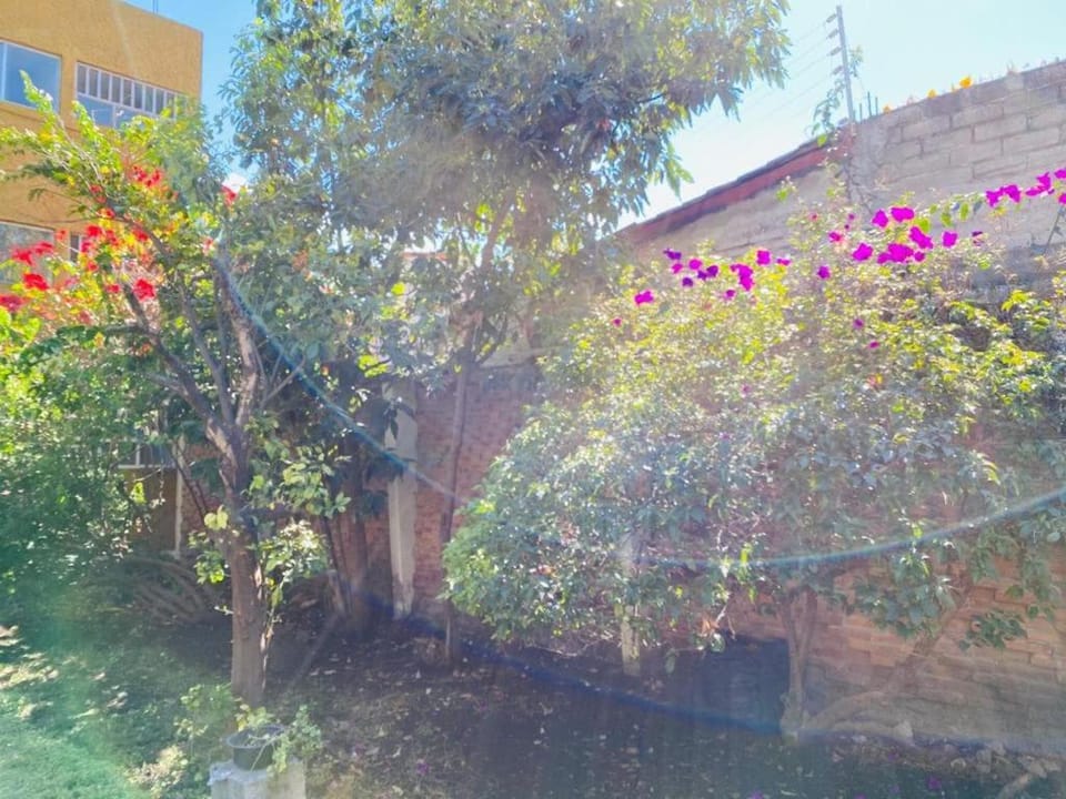 Single Suite Unbeatable Location Internet b34 Apartment in Santiago de Queretaro