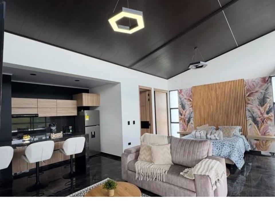 Kitchen or kitchenette, Living room, Dining area, stove