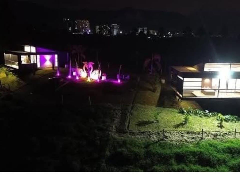 Property building, Night, Garden, Garden view