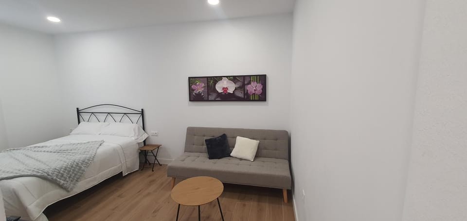 HDEZfalcon Vacation rental in Santa Cruz de Tenerife