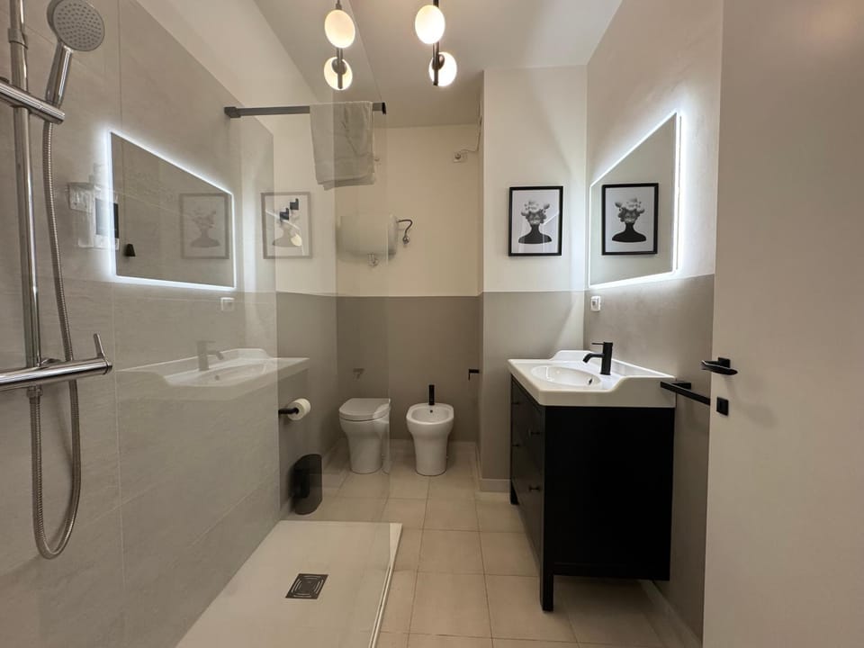 Shower, Toilet, Bathroom, bidet, hair dryier, towels