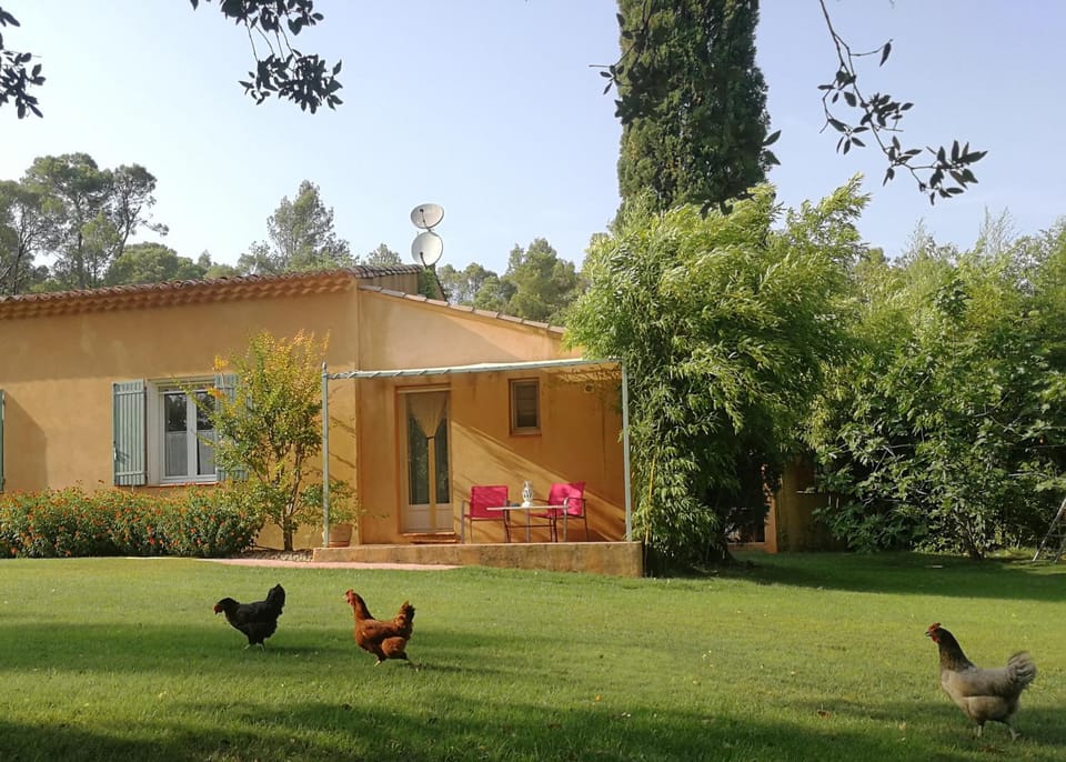 Property building, Garden, Balcony/Terrace, Pets