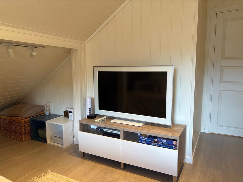 TV and multimedia