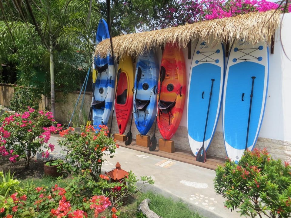 Canoeing, Canoeing, Sports