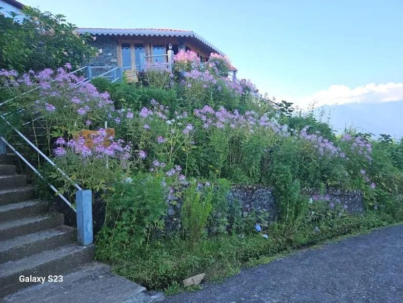 Property building, Spring, Day, Natural landscape, Garden, Garden view