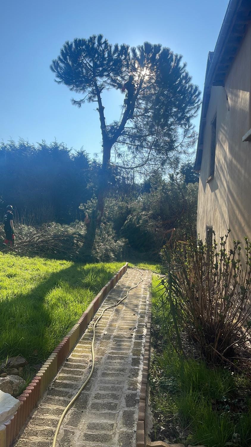 Property building, Garden, Garden view