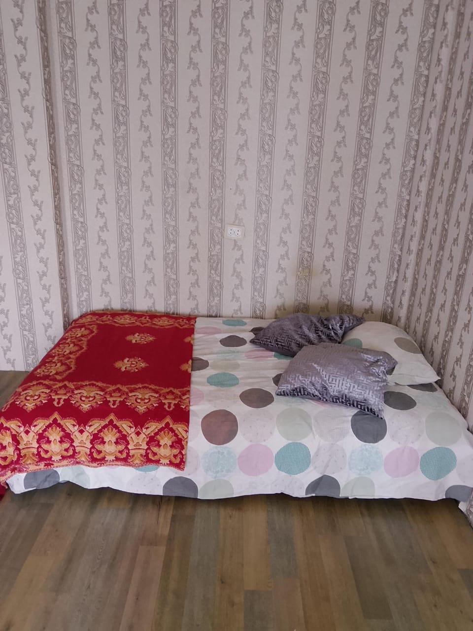 Simple donna julia Apartment in Estonia