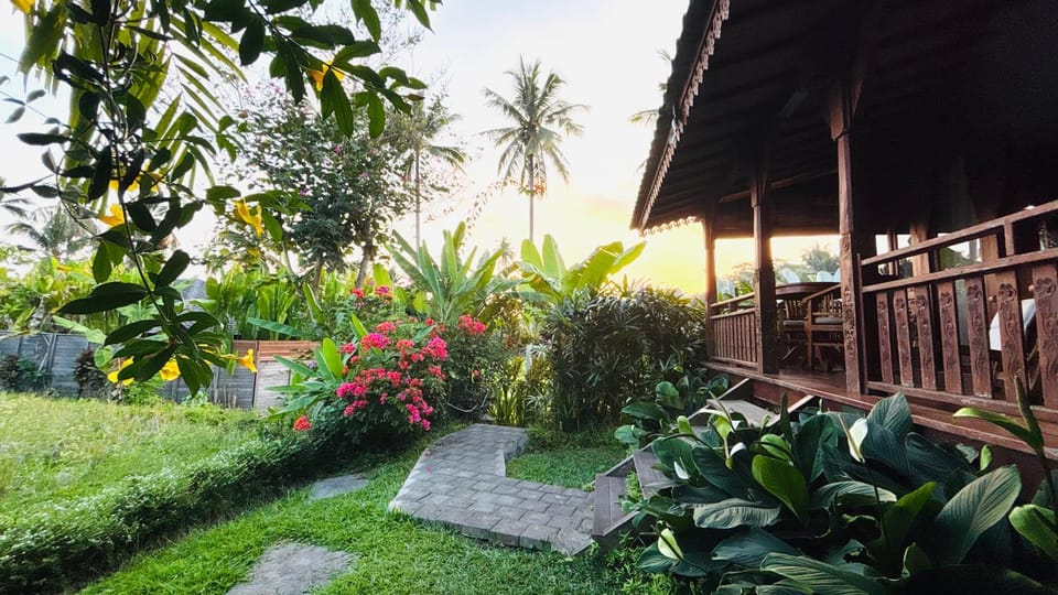 Property building, Garden view