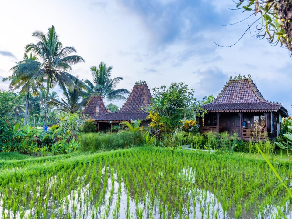 Natural landscape