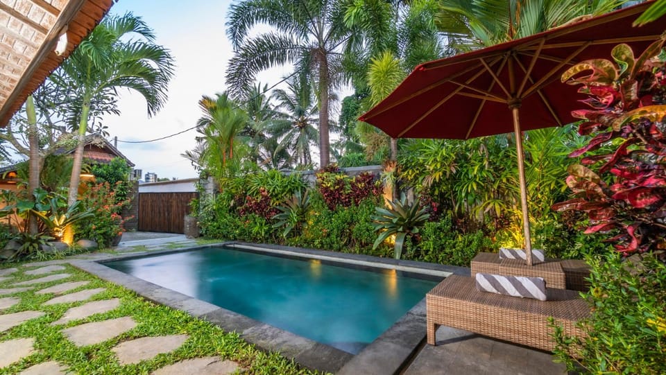 Garden, Swimming pool