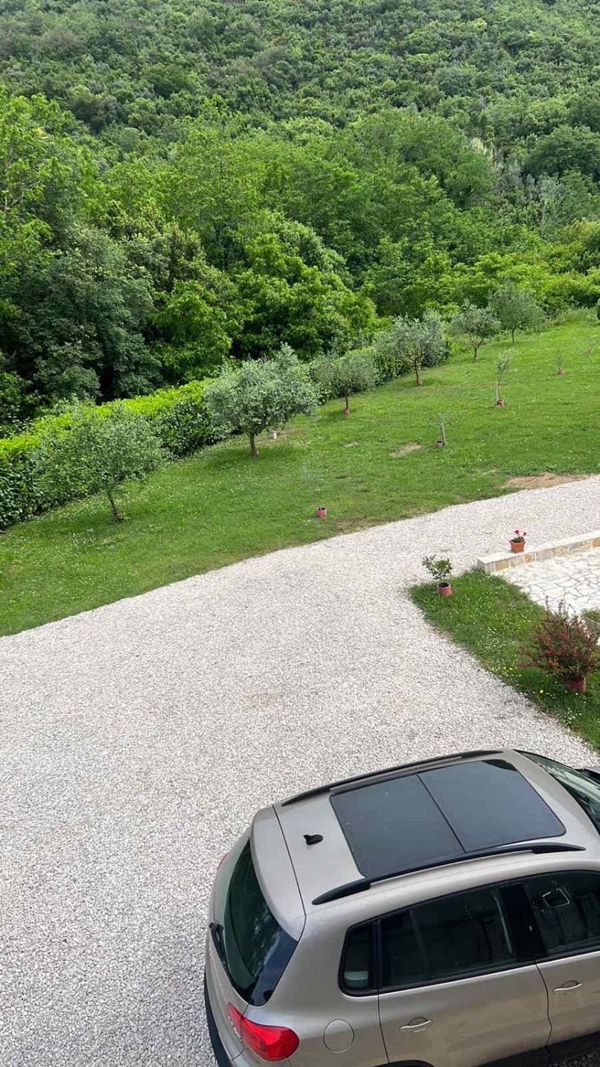 Apartment Elena Apartment in Kotor Municipality