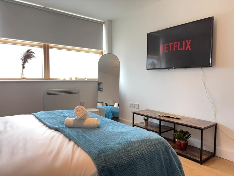 Modern Apartment in London with Secure Parking Sleeps 6 Apartment in London Borough of Southwark