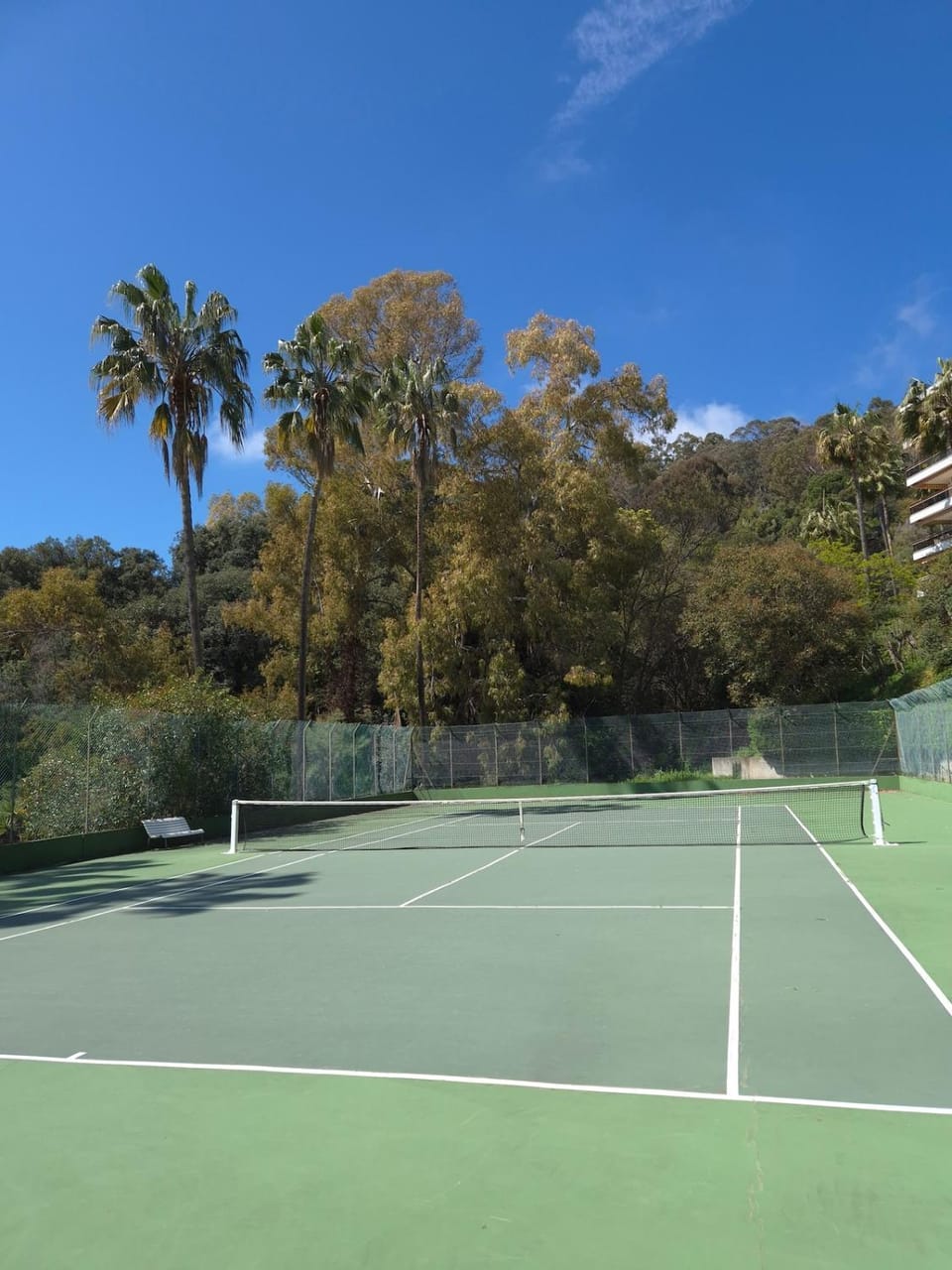 Tennis court