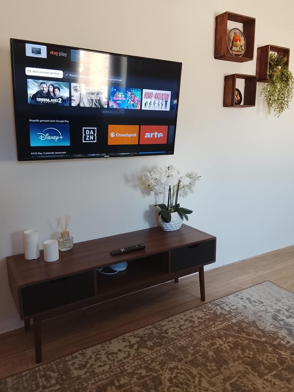 TV and multimedia, furniture, internet