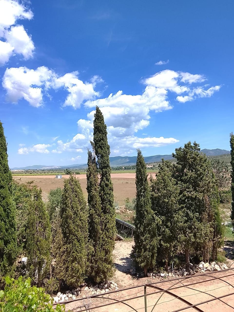 Day, Natural landscape, Garden, View (from property/room), Mountain view