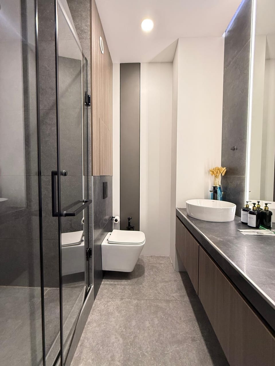 Shower, Toilet