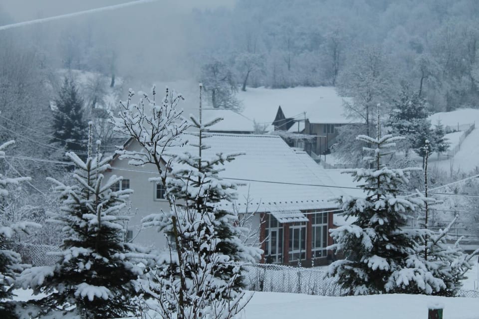 Holiday home Usadba Novoselitsa House in Slovakia