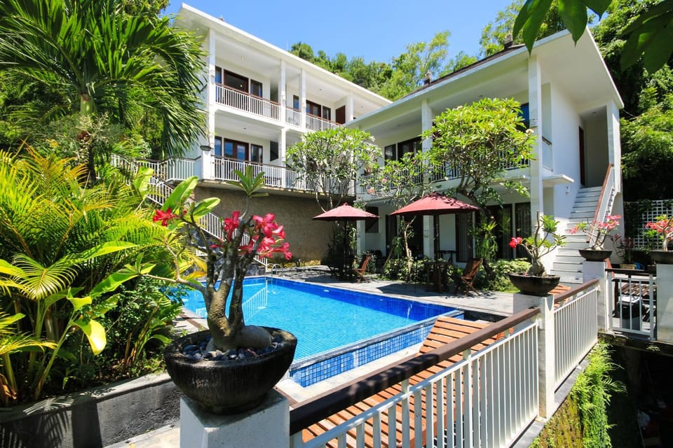 Patio, Staff, People, Activities, Bird's eye view, Garden, Balcony/Terrace, Other, Decorative detail, Floor plan, Animals, Guests, Garden view, Mountain view, Pool view, Street view, Area and facilities, Swimming pool, children, young children, older children, group of guests, Family